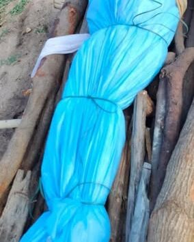 MDR Foundation Team Funering Orphan Bodies