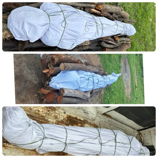 MDR Foundation Team Funering Orphan Bodies